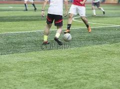 郑钦文面临,严峻考验,三连败丢分,问鼎娱乐官网,问鼎娱乐官网全球信赖,问鼎娱乐官网在线娱乐平台